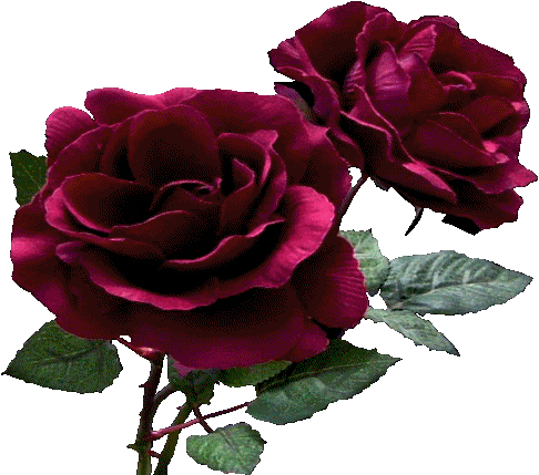 sticker_22961994_36944568
