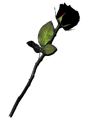 sticker_10464538_16438390