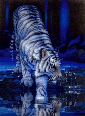sticker_2887095_22117105