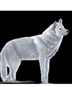 sticker_667503_663343