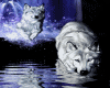 sticker_7005736_32664999