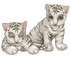 sticker_7441559_37563699