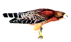 sticker_24286434_41433072