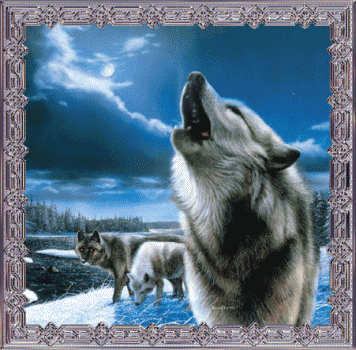 sticker_23249456_35841945