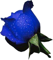 sticker_29947563_41427778