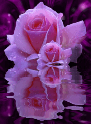 sticker_22234381_34747829