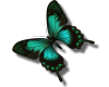 sticker_5085222_9546235