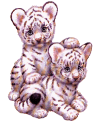 sticker_11549544_17285290