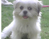 sticker_21907721_42208834