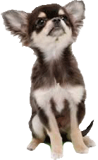 sticker_17634822_37965686