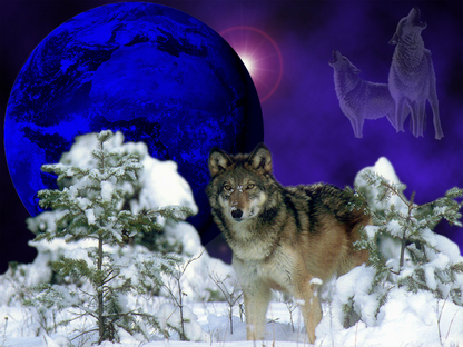 sticker_12070195_18659670
