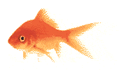 sticker_25433108_37326885