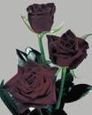 sticker_22033028_30352400