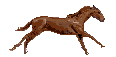 sticker_19071332_35989345