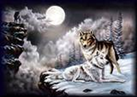 sticker_5500198_35471024