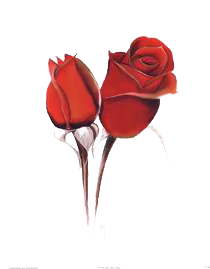 sticker_20621301_33446418