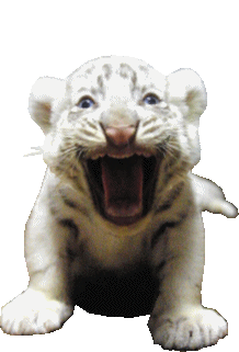 sticker_16677192_26168534