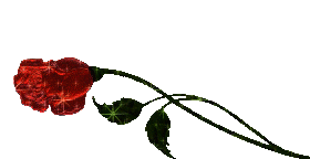 sticker_12038122_29956593