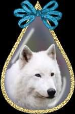sticker_21633857_37442014