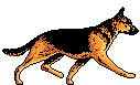 sticker_15025071_19244544