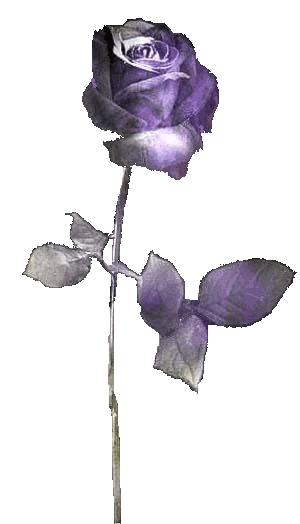 sticker_29583637_40044848