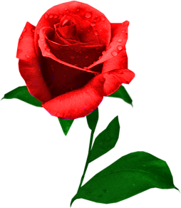 sticker_20005505_38852405
