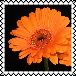 sticker_7598038_37598024