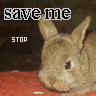 sticker_16020397_20837729