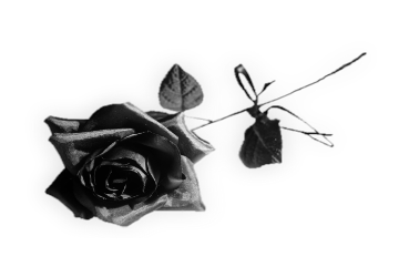 sticker_14649136_41021473