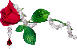 sticker_23381138_42090135