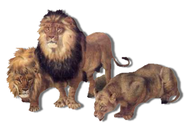 sticker_2858881_11813607