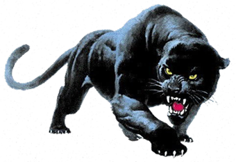 sticker_19524093_40111940