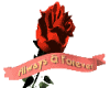 sticker_12051161_25169807
