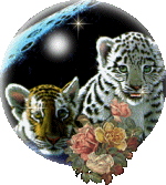 sticker_12111029_41203424