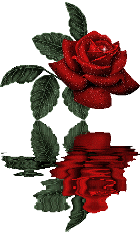 sticker_24829498_33714068
