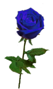sticker_27162095_38421463