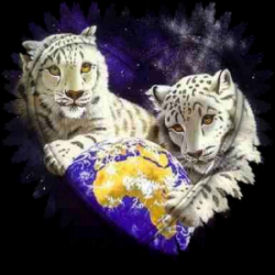 sticker_11953067_23385106