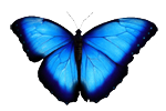 sticker_26135149_37061285