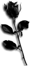 sticker_14108818_30006943