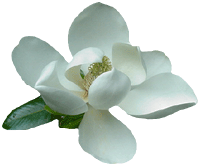sticker_9147000_13800292