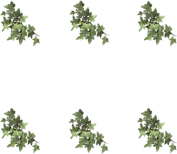sticker_27320825_38026552