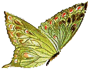 sticker_5260502_7368024