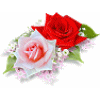 sticker_3606393_7554536