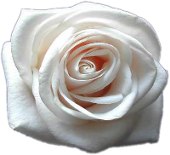 sticker_590162_1056436