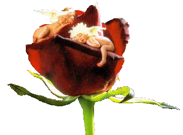 sticker_22106794_35566756