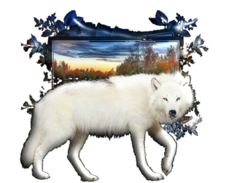 sticker_18939971_37799288