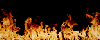 sticker_23460067_40748237