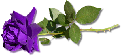 sticker_8987740_27532847
