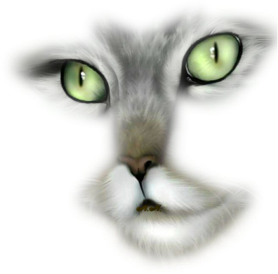sticker_23052402_34055462