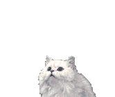 sticker_2570325_35253729